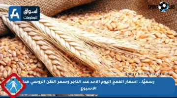 رسميًا.. أسعار القمح اليوم الأحد عند التاجر وسعر الطن الروسي هذا الأسبوع